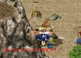 ������������ת�������磿