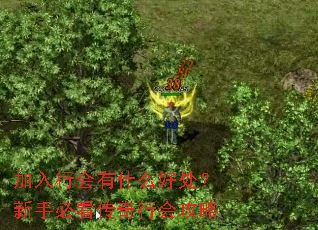 �����л���ʲô�ô������ֱؿ������лṥ��