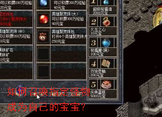 如何召唤指定怪物成为自己的宝宝? 如何召唤指定怪物成为自己的宝宝?