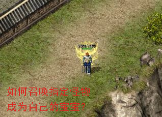 如何召唤指定怪物成为自己的宝宝? 如何召唤指定怪物成为自己的宝宝?