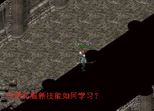 传奇私服新技能如何学习? 传奇私服新技能如何学习?