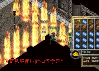 传奇私服新技能如何学习? 传奇私服新技能如何学习?