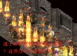 ��ʿ��θ�Ч������Ʒװ������Щ��������������