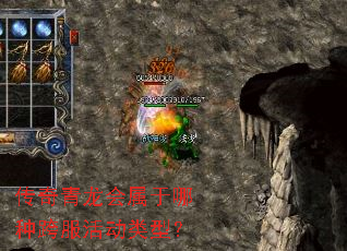 �����������������ֿ������ͣ�