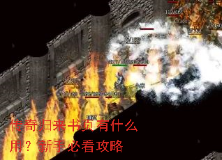 ���������ҳ��ʲô�ã����ֱؿ�����