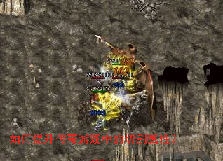 �������������Ϸ�е��и����ԣ�