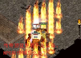 ������Ϸ�￴����װ����NPC�͹�����ô�죿