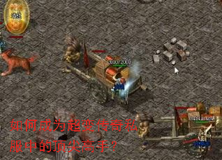 ��γ�Ϊ���䴫��˽���еĶ�����֣�