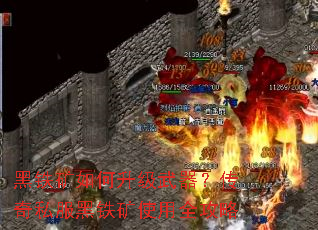 �����������������������˽��������ʹ��ȫ����