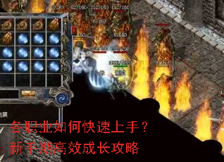 ��ְҵ��ο������֣������ڸ�Ч�ɳ�����