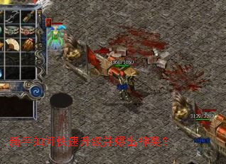 ������ο���������������װ��