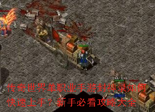 �������絥ְҵ���η���¼��ο������֣����ֱؿ����Դ�ȫ