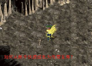 ��δ����ֿ��ٳɳ�Ϊ��������