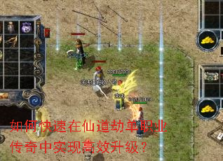 ��ο������ɵ��ٵ�ְҵ������ʵ�ָ�Ч������