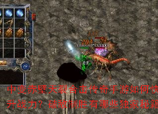 �б������Ѻϻ�����������ο�������ս�����Ƶ���ʤ����Щ�����ؼ���