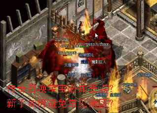 传奇召唤宝宝必知要点?新手如何避免常见误区? 传奇召唤宝宝必知要点?新手如何避免常见误区?