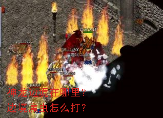 神龙边境在哪里?边境魔虫怎么打? 神龙边境在哪里?边境魔虫怎么打?