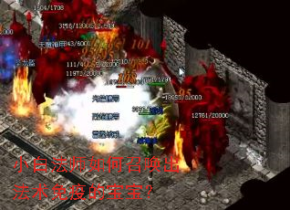 小白法师如何召唤出法术免疫的宝宝? 小白法师如何召唤出法术免疫的宝宝?