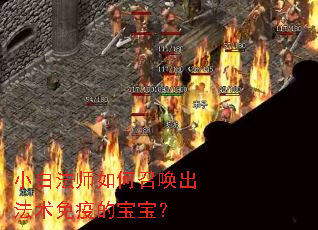 小白法师如何召唤出法术免疫的宝宝? 小白法师如何召唤出法术免疫的宝宝?