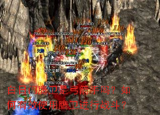 ������ӥ���ǹ������������Чʹ��ӥ������ս����