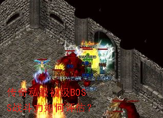 ����˽������BOSSս�������������