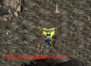 ����˽��װ��������������Щ��