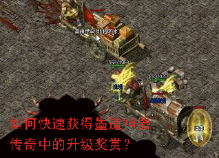 ��ο��ٻ��ī�����������е��������ͣ�