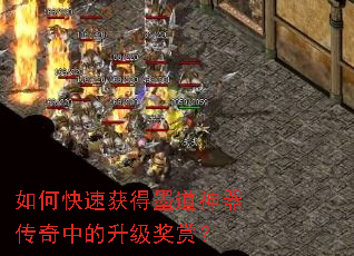 ��ο��ٻ��ī�����������е��������ͣ�