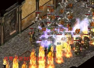 ����������ο���������