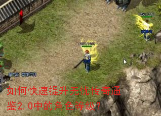 ��ο����������Ǵ���ͨ��2.0�еĽ�ɫ�ȼ���