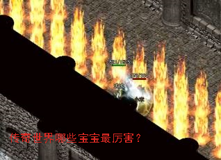 ����������Щ������������