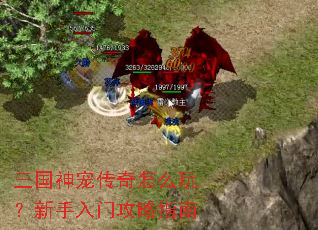 ������贫����ô�棿�������Ź���ָ��