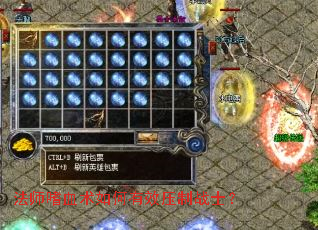 ��ʦ��Ѫ�������Чѹ��սʿ��