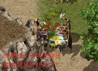 �����ʿ�ٻ����＼���������ս������