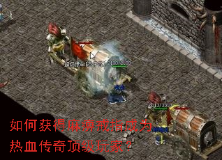 如何获得麻痹戒指成为热血传奇顶级玩家? 如何获得麻痹戒指成为热血传奇顶级玩家?