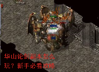 华山论剑副本怎么玩?新手必看攻略 华山论剑副本怎么玩?新手必看攻略