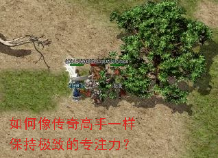 如何像传奇高手一样保持极致的专注力? 如何像传奇高手一样保持极致的专注力?