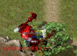 ��ʿ����ĵļ�����ʲô��