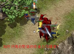 ���������Ұ���Ĺ������뱬�ʣ�