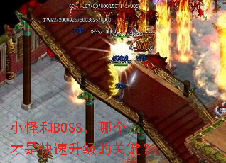 小怪和BOSS,哪个才是快速升级的关键? 小怪和BOSS,哪个才是快速升级的关键?