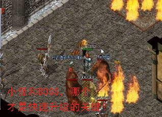小怪和BOSS,哪个才是快速升级的关键? 小怪和BOSS,哪个才是快速升级的关键?