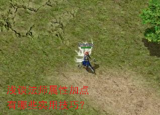 ǳ̸��ʦ���Լӵ�����Щʵ�ü��ɣ�