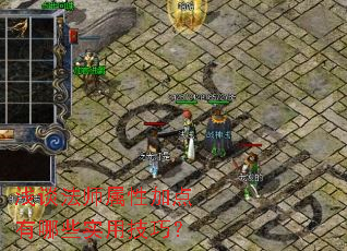 ǳ̸��ʦ���Լӵ�����Щʵ�ü��ɣ�