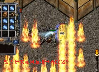 ɢ�������ε�������BOSS��