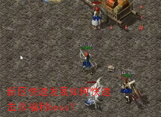 新区快速发展如何快速击杀福利boss? 新区快速发展如何快速击杀福利boss?