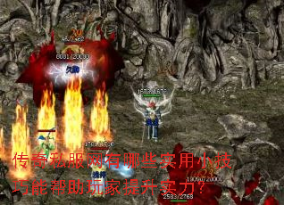 ����˽��������Щʵ��С�����ܰ����������ʵ����