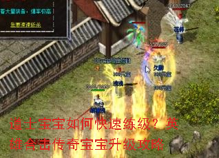 ��ʿ������ο���������Ӣ�ۺϻ����汦����������