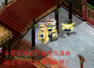 ��ѩ֮�ǵĻ�����ָ�ʺ�սʿ��ʵսЧ����Σ�