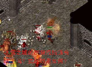 ��ѩ֮�ǵĻ�����ָ�ʺ�սʿ��ʵսЧ����Σ�