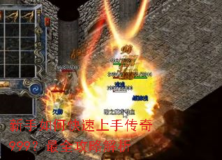 ������ο������ִ���999����ȫ���Խ���